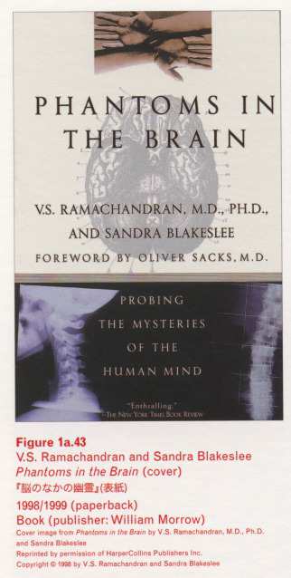 Caption left top: · Figure 1a.43 · V.S. Ramachandran and Sandra Blakeslee · Phantoms in the Brain (cover) · 199827ya/999 (paperback) · Book (publisher: William Morrow)