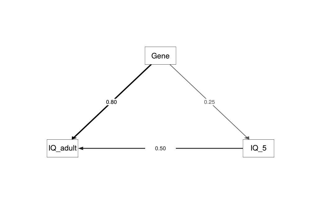 Path model relating childhood IQ measured at age 5, final adult IQ, and SNP heritability