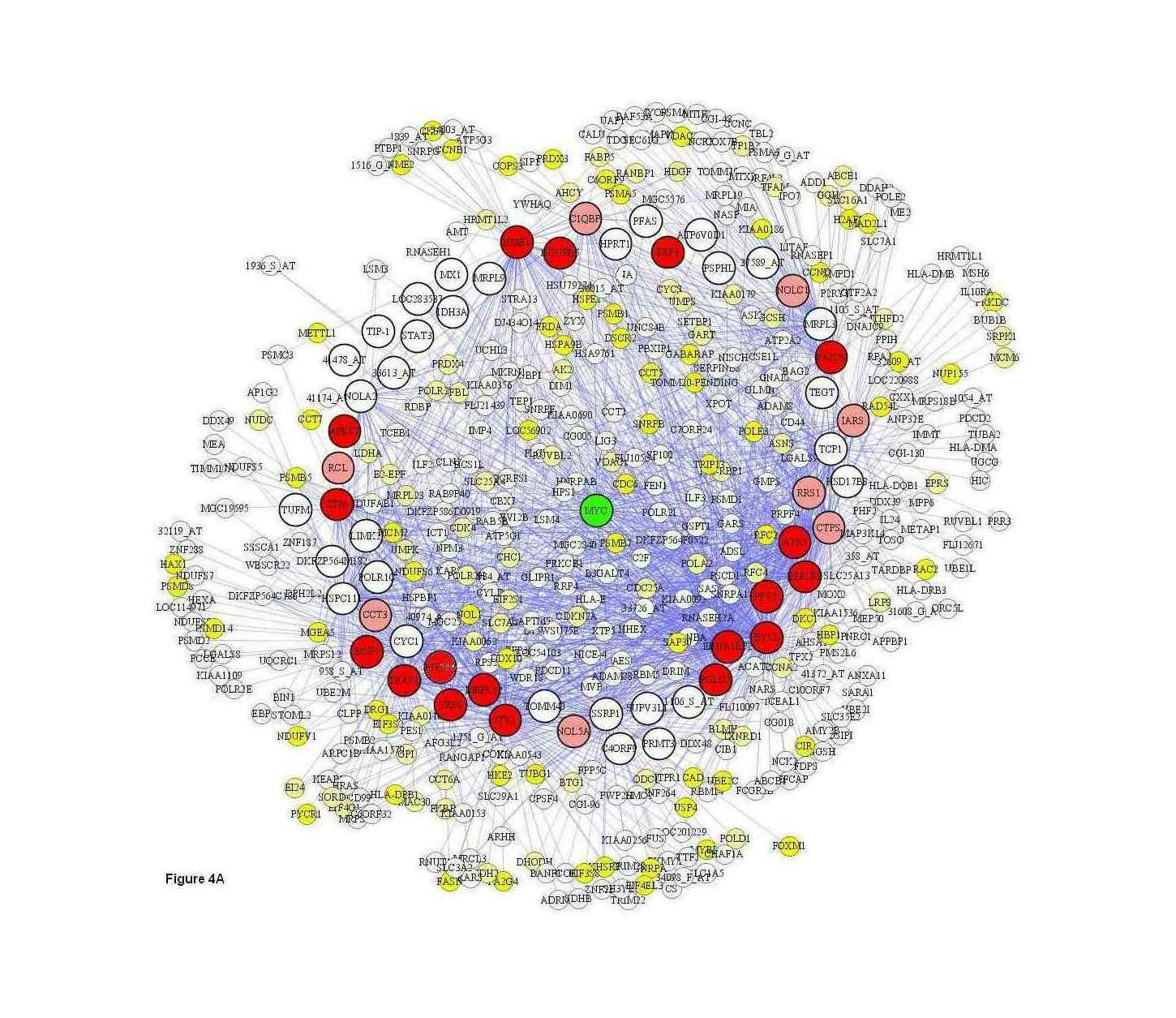 “A Toolkit Supporting Formal Reasoning about Causality in Metabolic Networks” (another example)